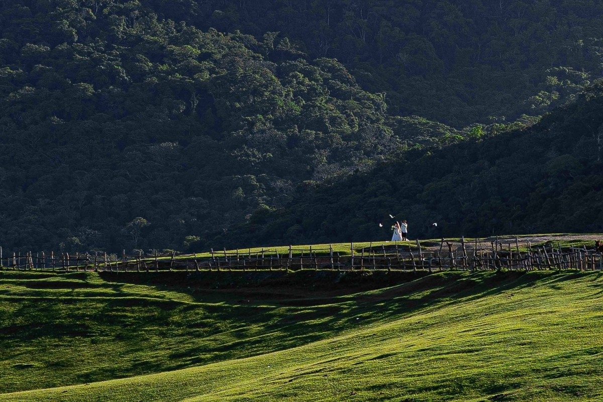 Pareja diminuta en un vasto paisaje verde